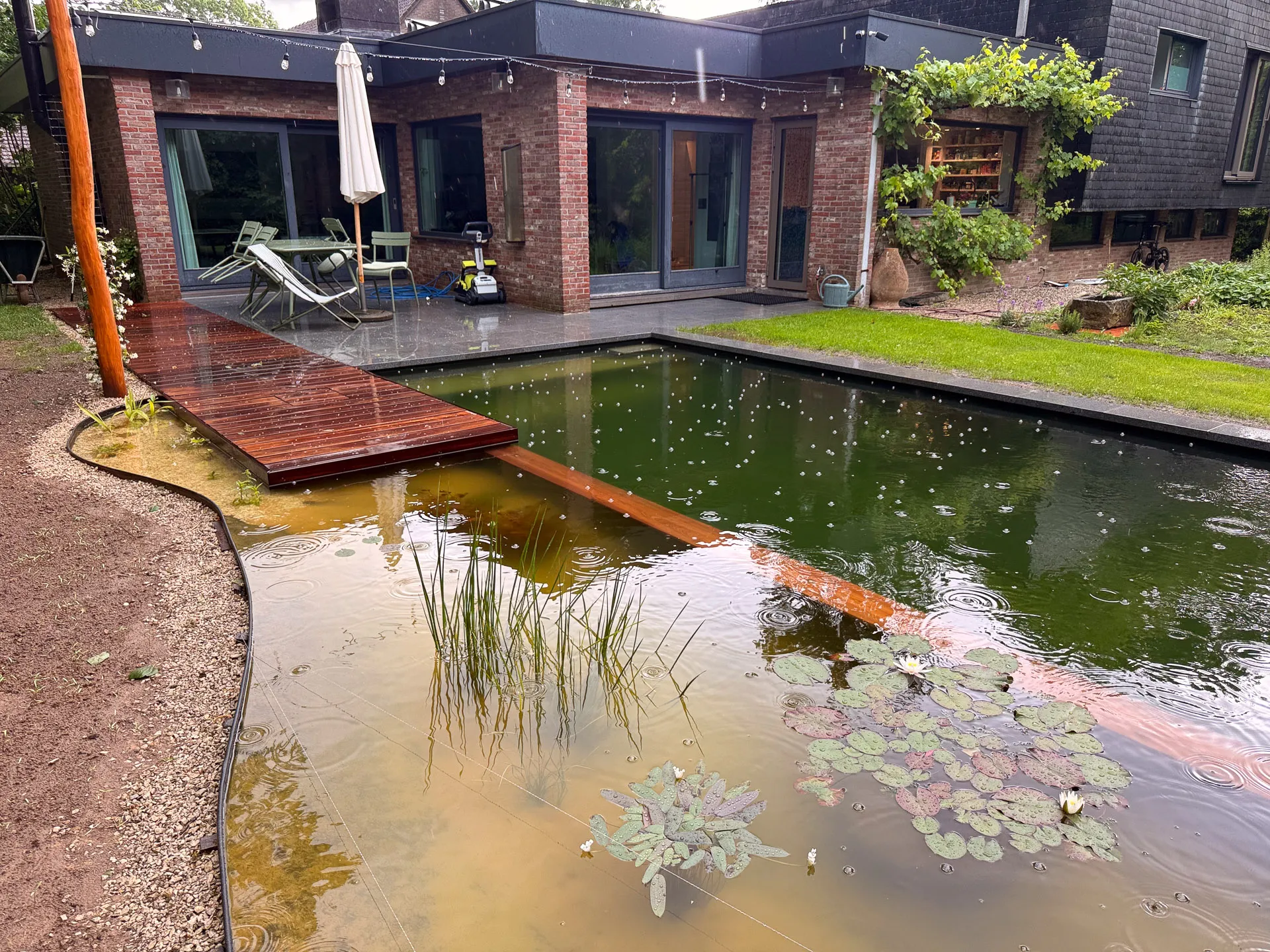 Planten.
