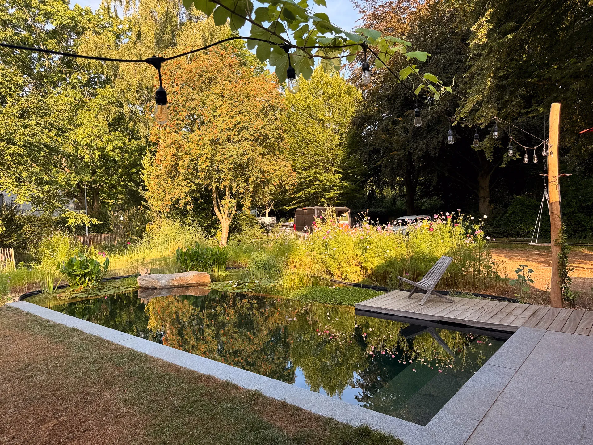 Reflectie van de tuin.